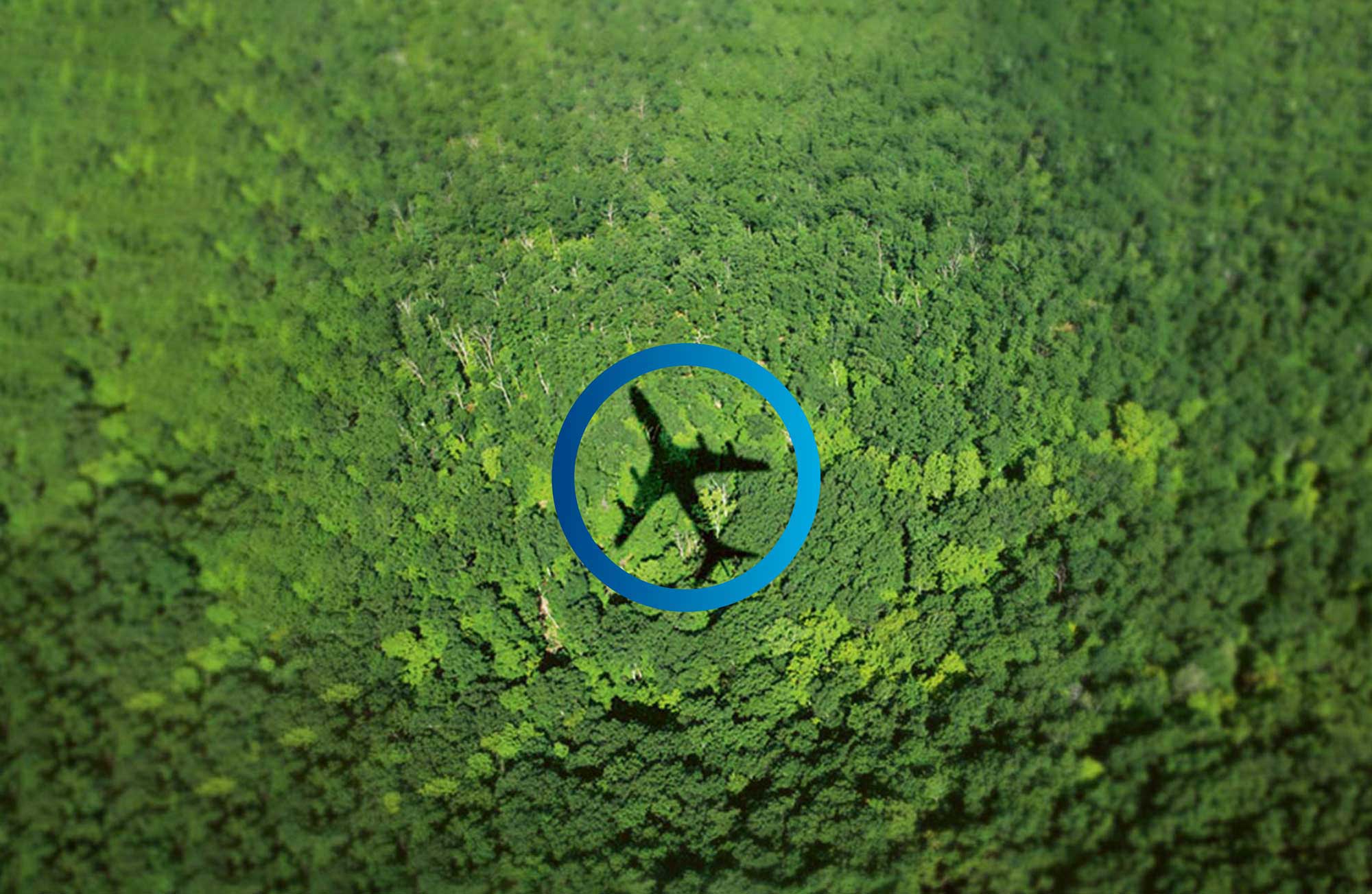 OneATM Focus areas header picture, showing a green forest and the shadow of an airplane, with a Frequentis blue circle around
