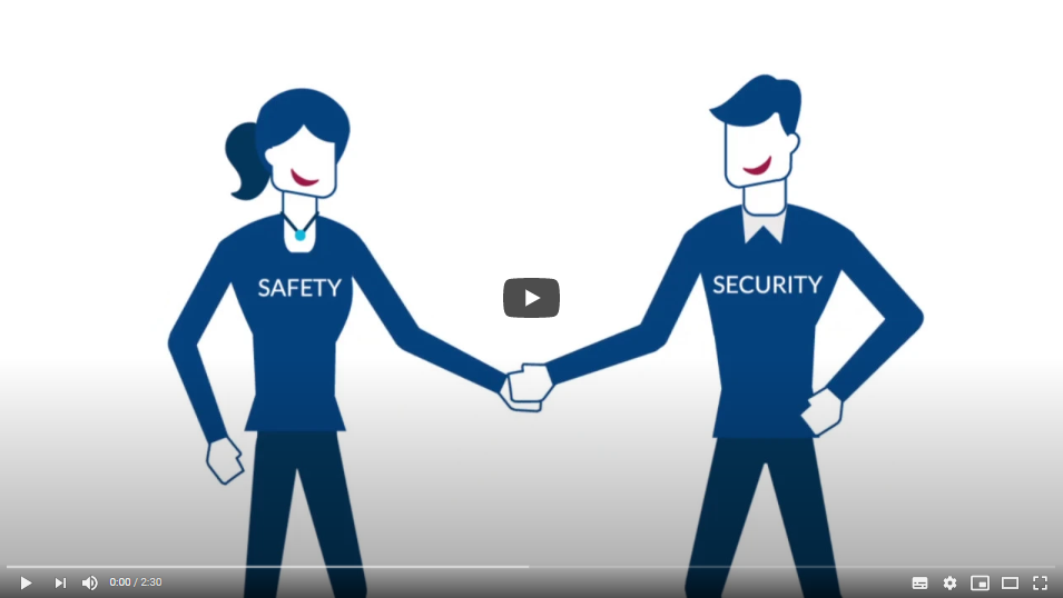 Video Preview for Safety and Security